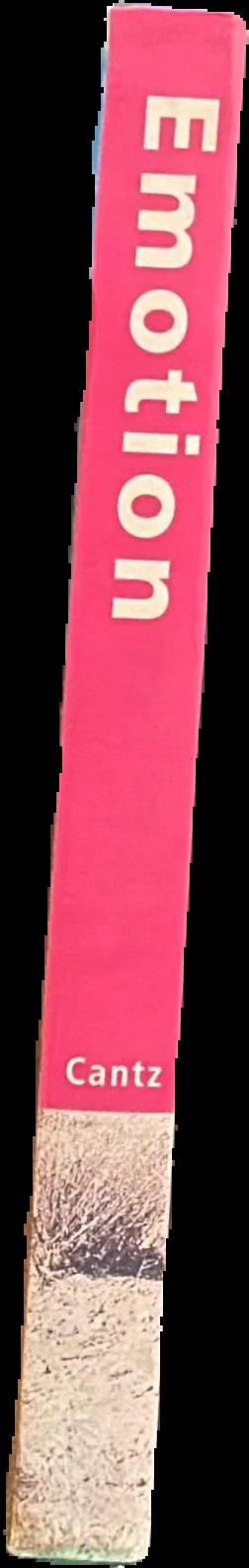 Emotion: young British and American art from the Goetz Collection live spine