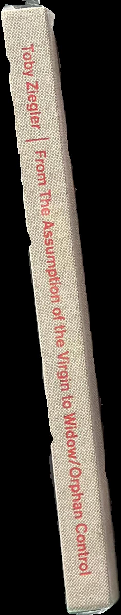 Toby Ziegler: from the assumption of the virgin to widow/orphan control live spine