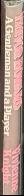 Mephisto / Klaus Mann ; translated by Robin Smyth live spine