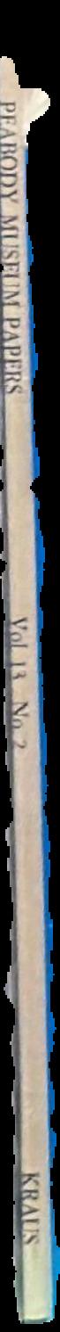 Noguchi : new sculpture live spine