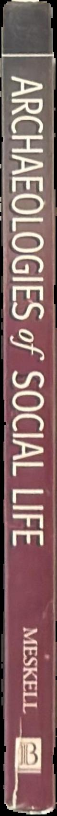 Archaeologies of social life : age, sex, class et cetera in ancient Egypt live spine