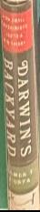 Bad faith : a forgotten history of family and fatherland / Carmen Callil live spine