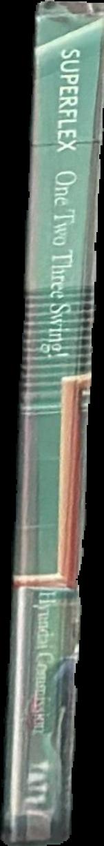 SUPERFLEX : one two three swing! / edited by Donald Hyslop, Isabella Magnoni and Valentina Ravaglia ; with contributions by Barbara Steiner and SUPERFLEX live spine