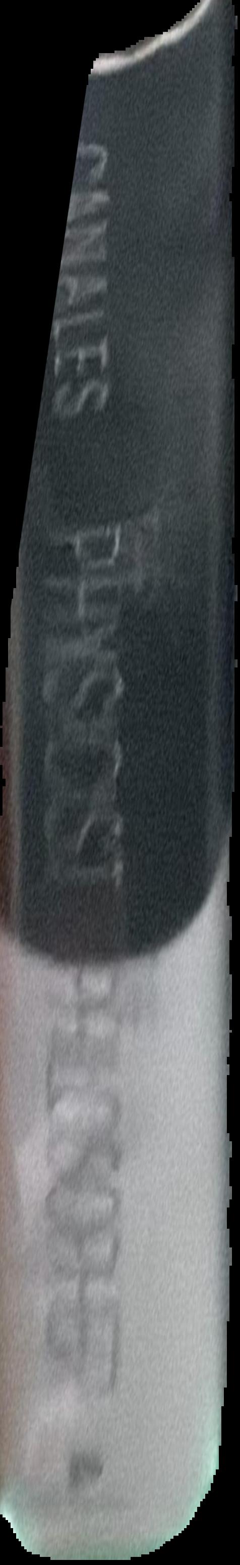 The story of birth live spine