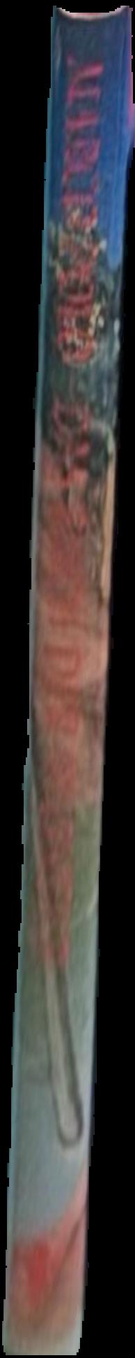 Contemporary Aboriginal art : the AAMU and Dutch collections live spine