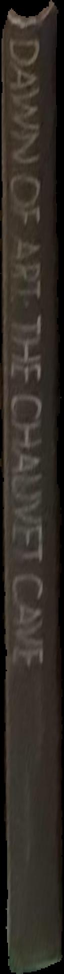 Dawn of art : the Chauvet cave : the oldest known paintings in the world live spine