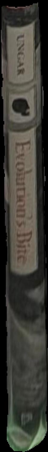 Elementary modern Armenian grammar live spine