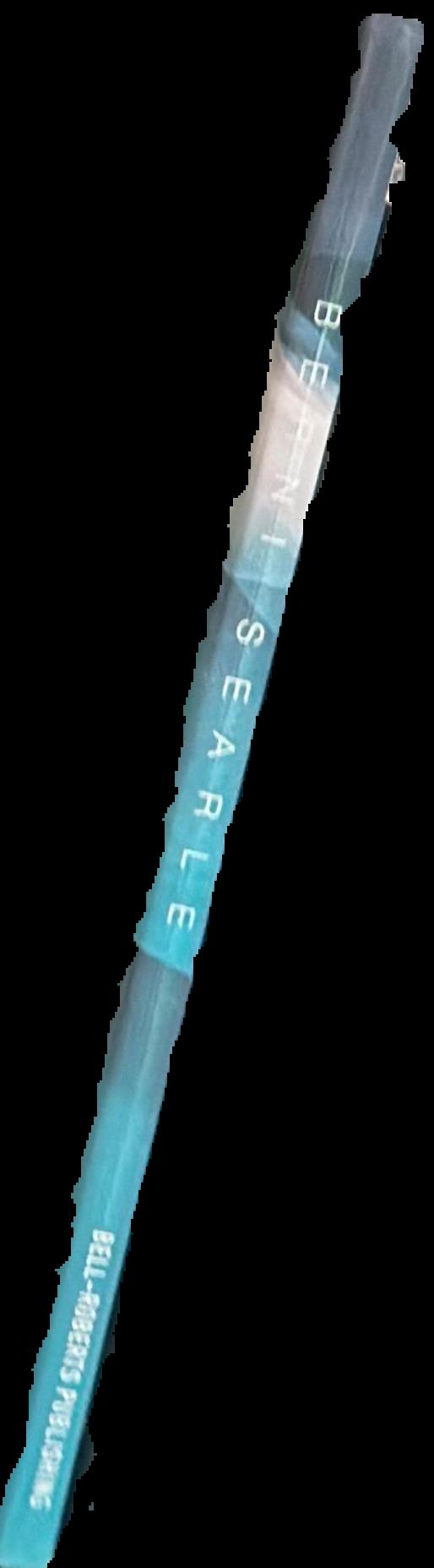 Berni Searle : float live spine