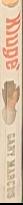 Paintings of the Museu Nacional de Arte Antiga live spine