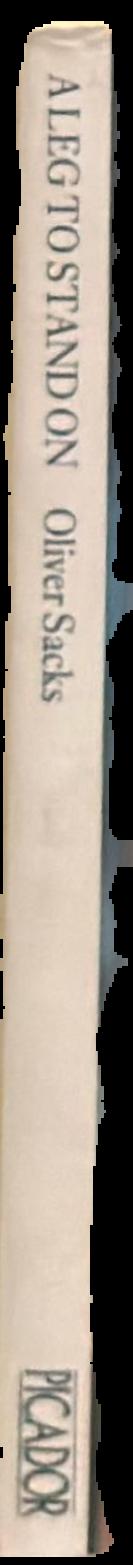 A leg to stand on live spine
