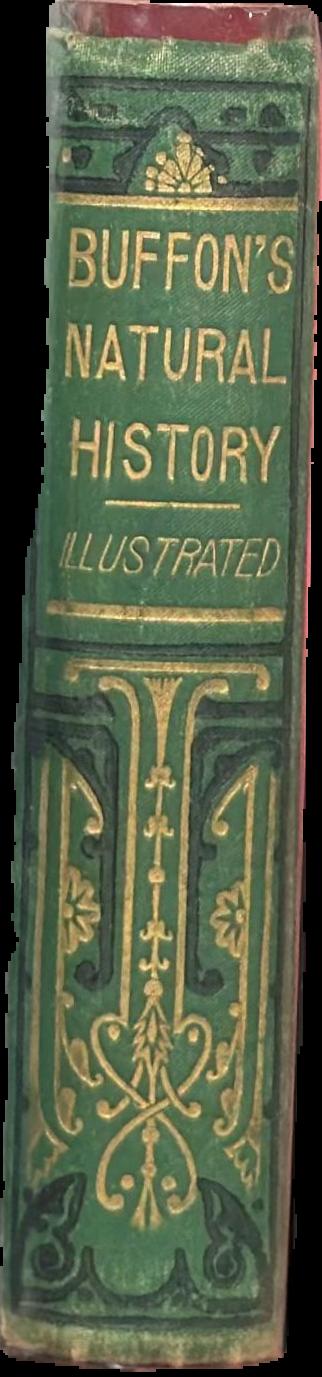 Buffon's natural history live spine