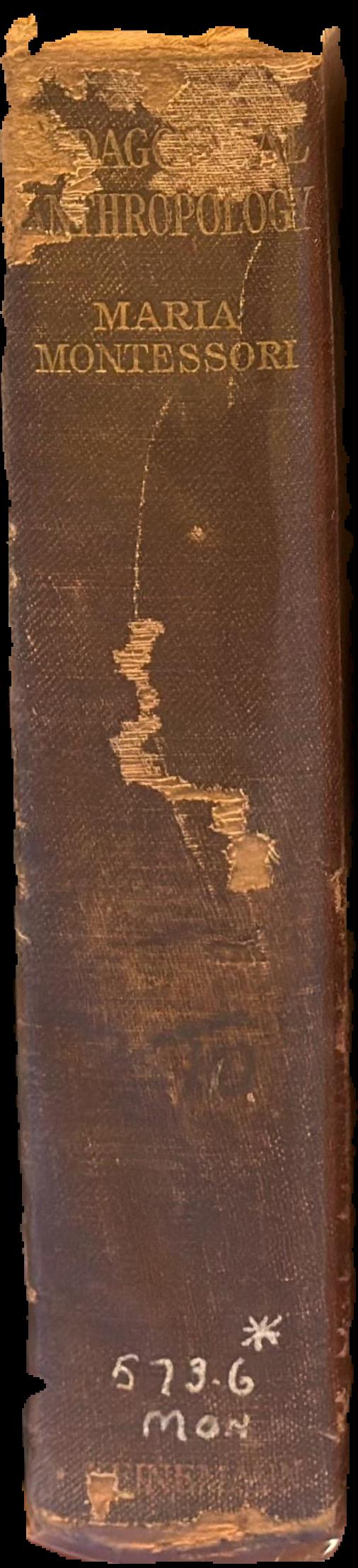 Pedagogical anthropology / by Maria Montessori ;  Translated by Frederic Taber Cooper live spine