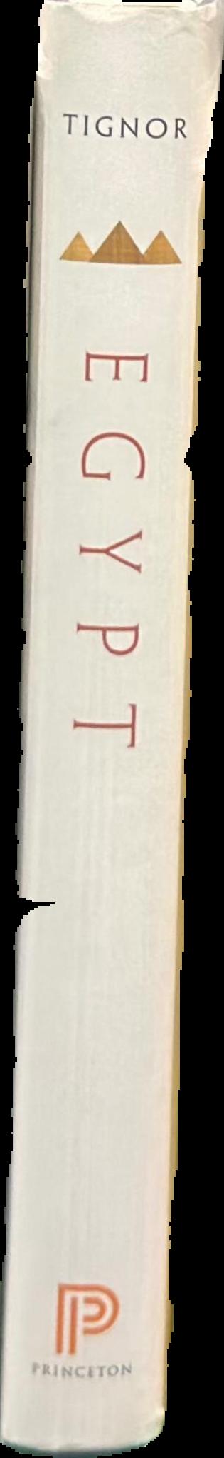 Egypt : A short history live spine