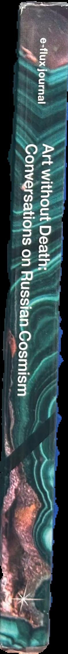 Art without death : conversations on Russian cosmism live spine
