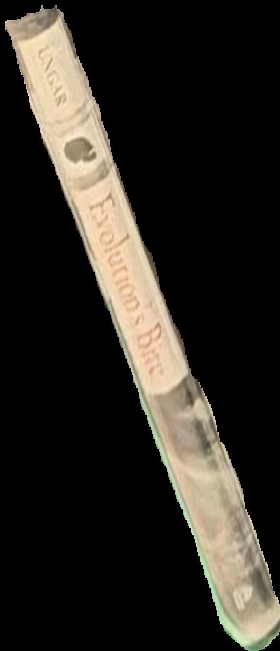 Evolution's bite : a story of teeth, diet, and human origins / Peter S. Ungar live spine