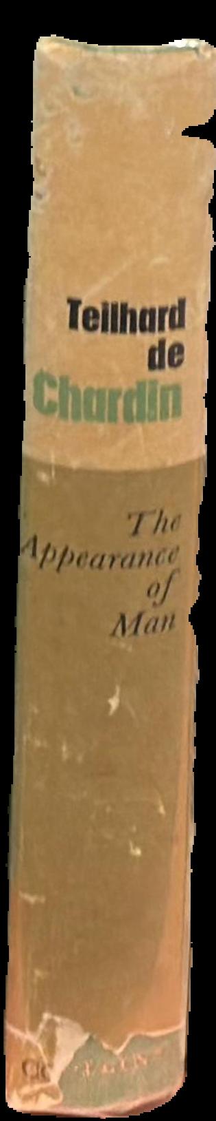 The appearance of man live spine