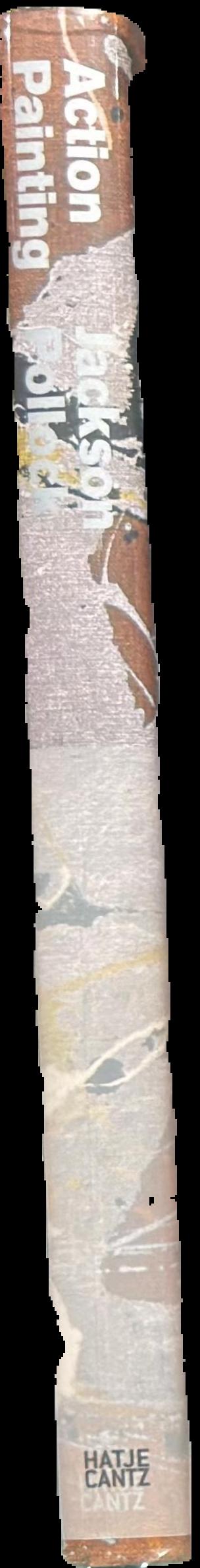 Action painting : Jackson Pollock live spine