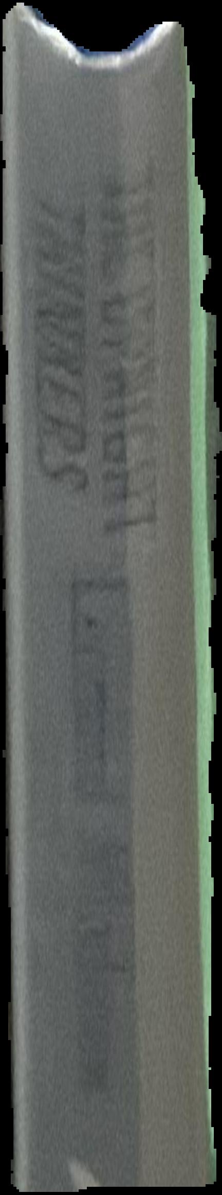 Egyptian shabtis live spine