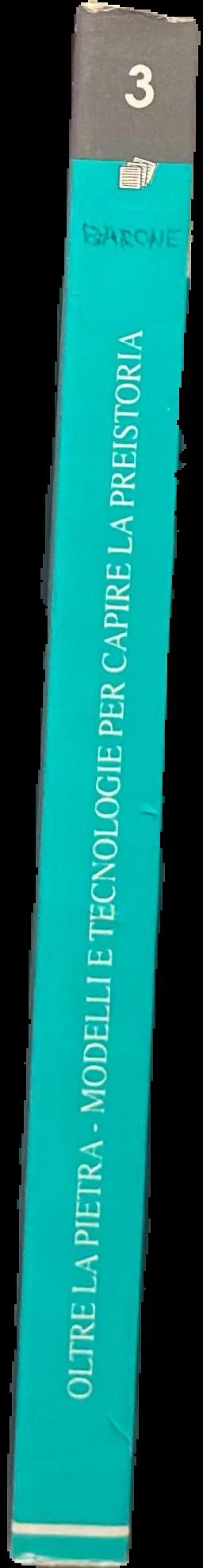 Oltre la pietra : modelli e tecnologie per capire la preistoria live spine