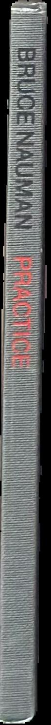Bruce Nauman live spine