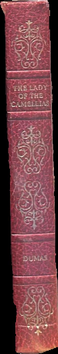 Our lady of the flowers live spine