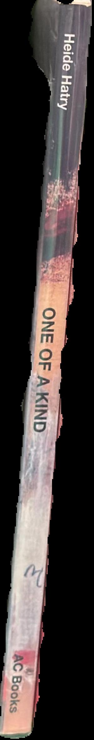 One of a kind : unique artist's books live spine