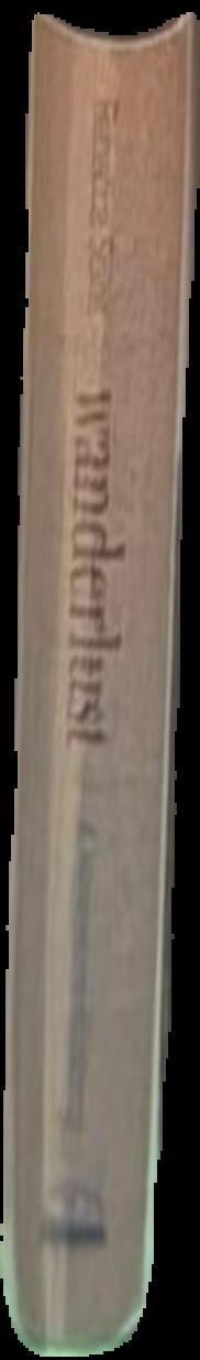 Die Bibel oder die ganze heilige Schrift des alten und neuen Testaments nach der deutschen Übersetzung Martin Luthers live spine