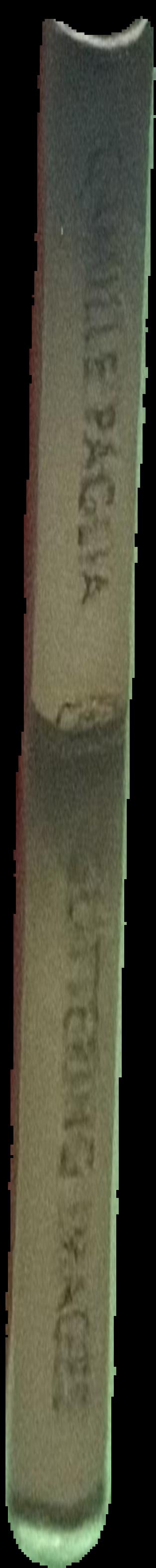 Egyptian shabtis live spine