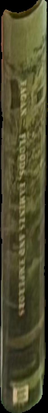 The valley of the Derwent / L. S. Bethell live spine