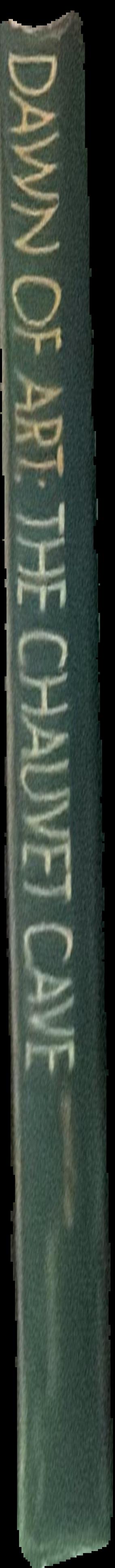 Dawn of art : the Chauvet cave : the oldest known paintings in the world live spine
