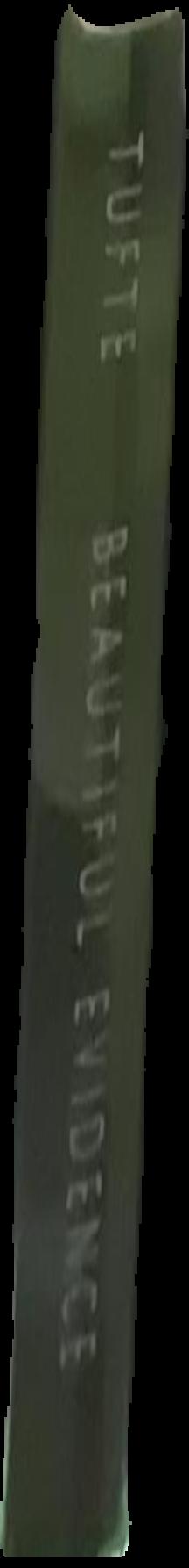 Beautiful evidence / Edward R. Tufte live spine