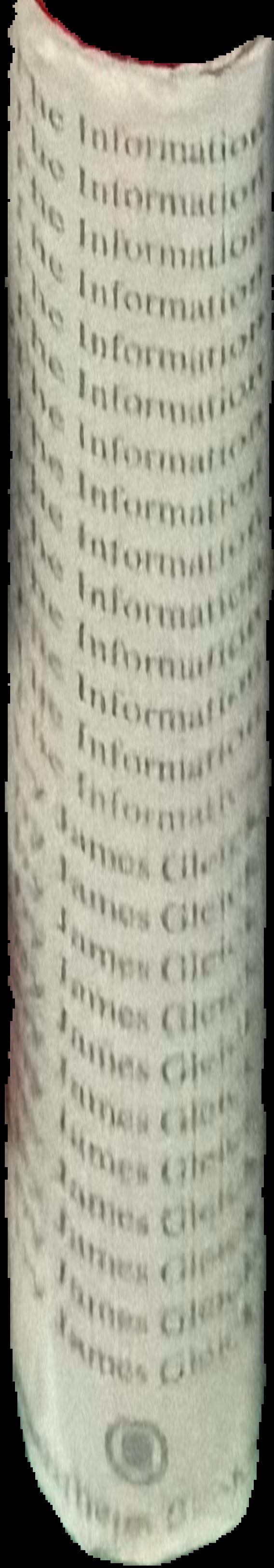 The information : a history, a theory, a flood / James Gleick live spine