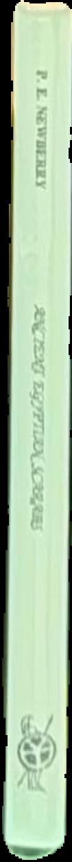 Wildest dreams live spine