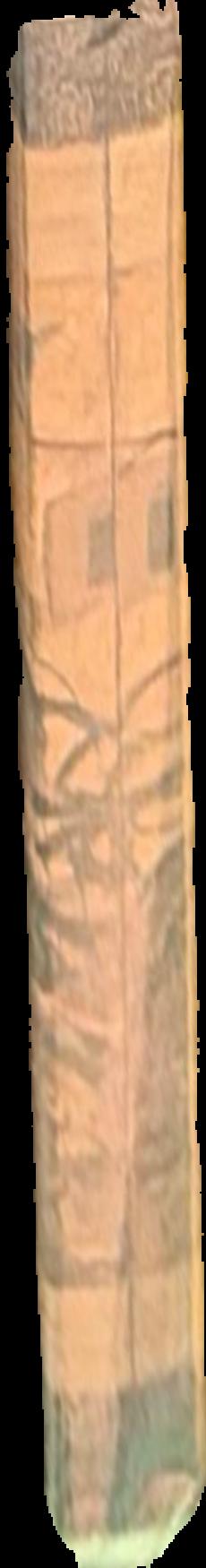 The bird man : a sketch of the life of John Gould / by Charles Barrett live spine
