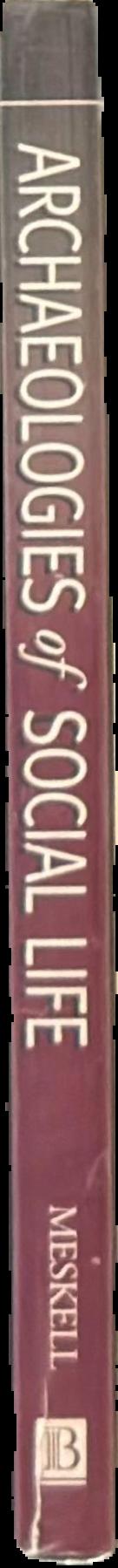 Archaeologies of social life : age, sex, class et cetera in ancient Egypt live spine