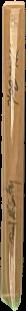 The bird man : a sketch of the life of John Gould / by Charles Barrett live spine