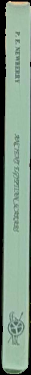 Ancient Egyptian scarabs : an introduction to Egyptian seals and signet rings live spine