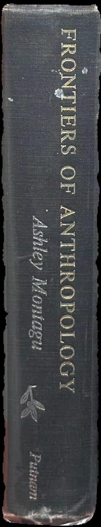 Frontiers of anthropology live spine