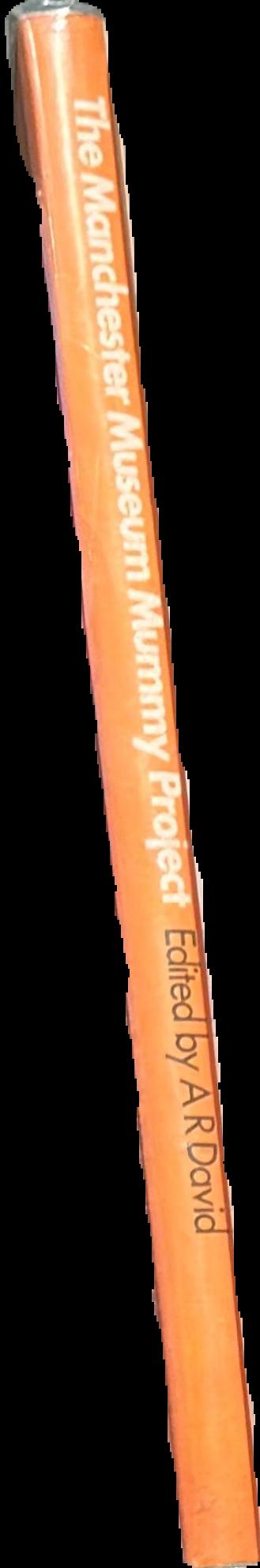 Manchester Museum mummy project : multidisciplinary research on ancient Egyptian mummified remains live spine