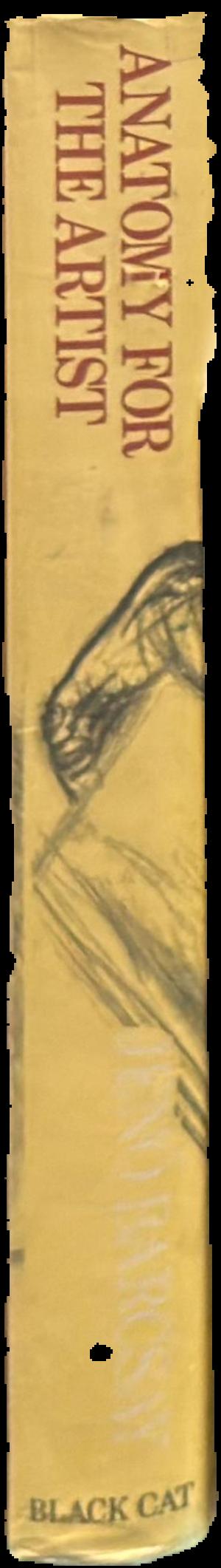 Anatomy for the artist live spine