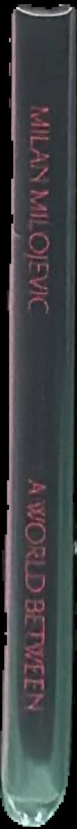 A world be-tween : a survey of prints by Milan Milojevic live spine