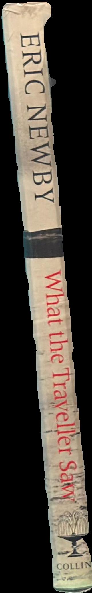 What the traveller saw live spine