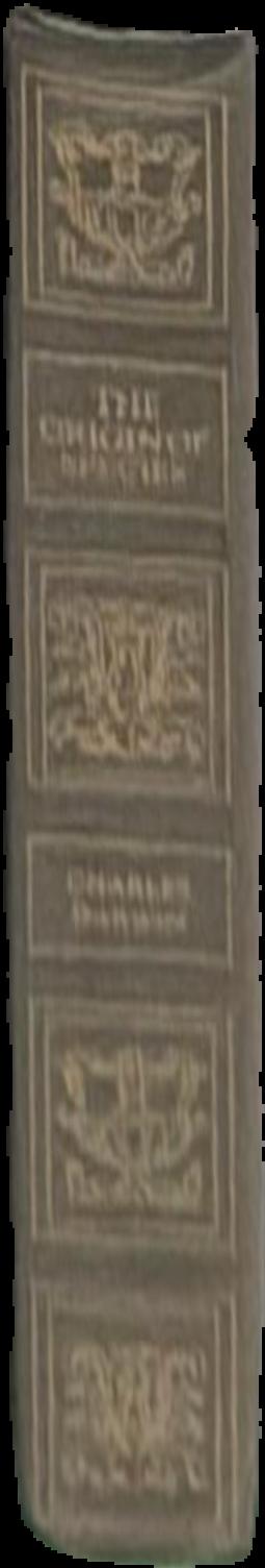 A tale of two cities / Charles Dickens ; introduction by John Shuckburgh ; illustrations by Phiz live spine