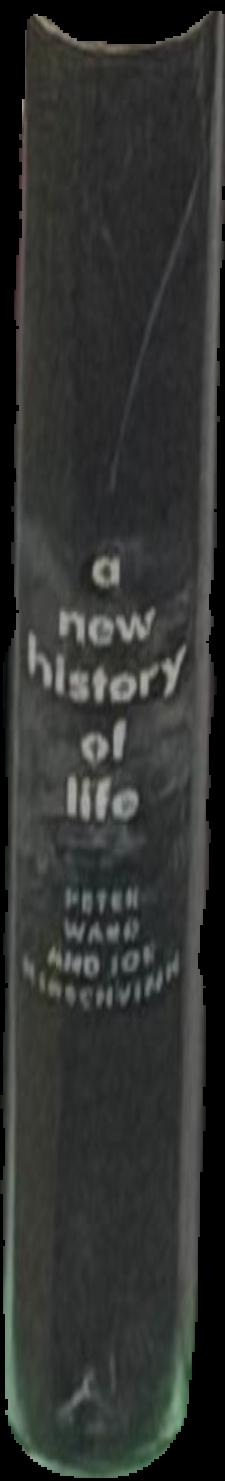 A new history of life : the radical new discoveries about the origins and evolution of life on Earth live spine