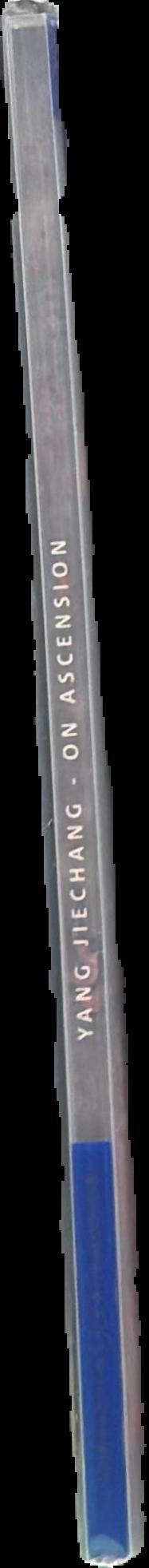 Yang Jiechang : on ascension live spine