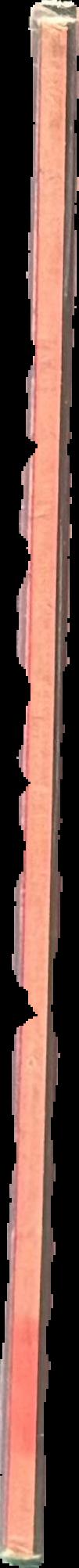 Forbidden Pompei live spine