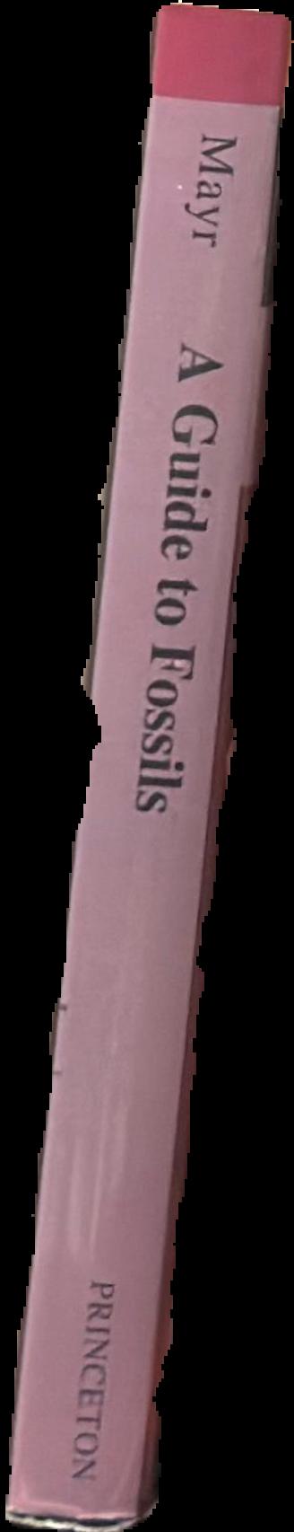 A guide to fossils live spine