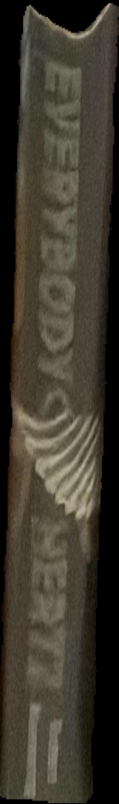 E. O. Hoppe's Australia live spine