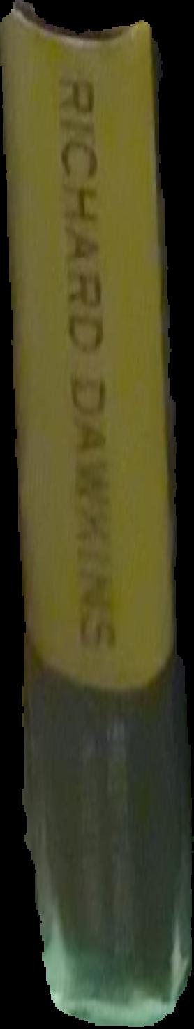 Brief candle in the dark : my life in science live spine