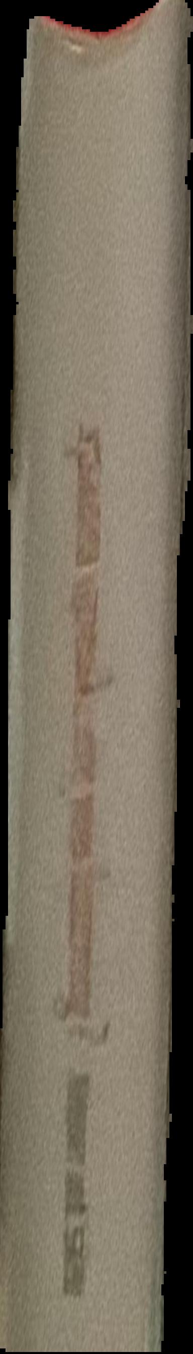 Contemporary Iranian art live spine